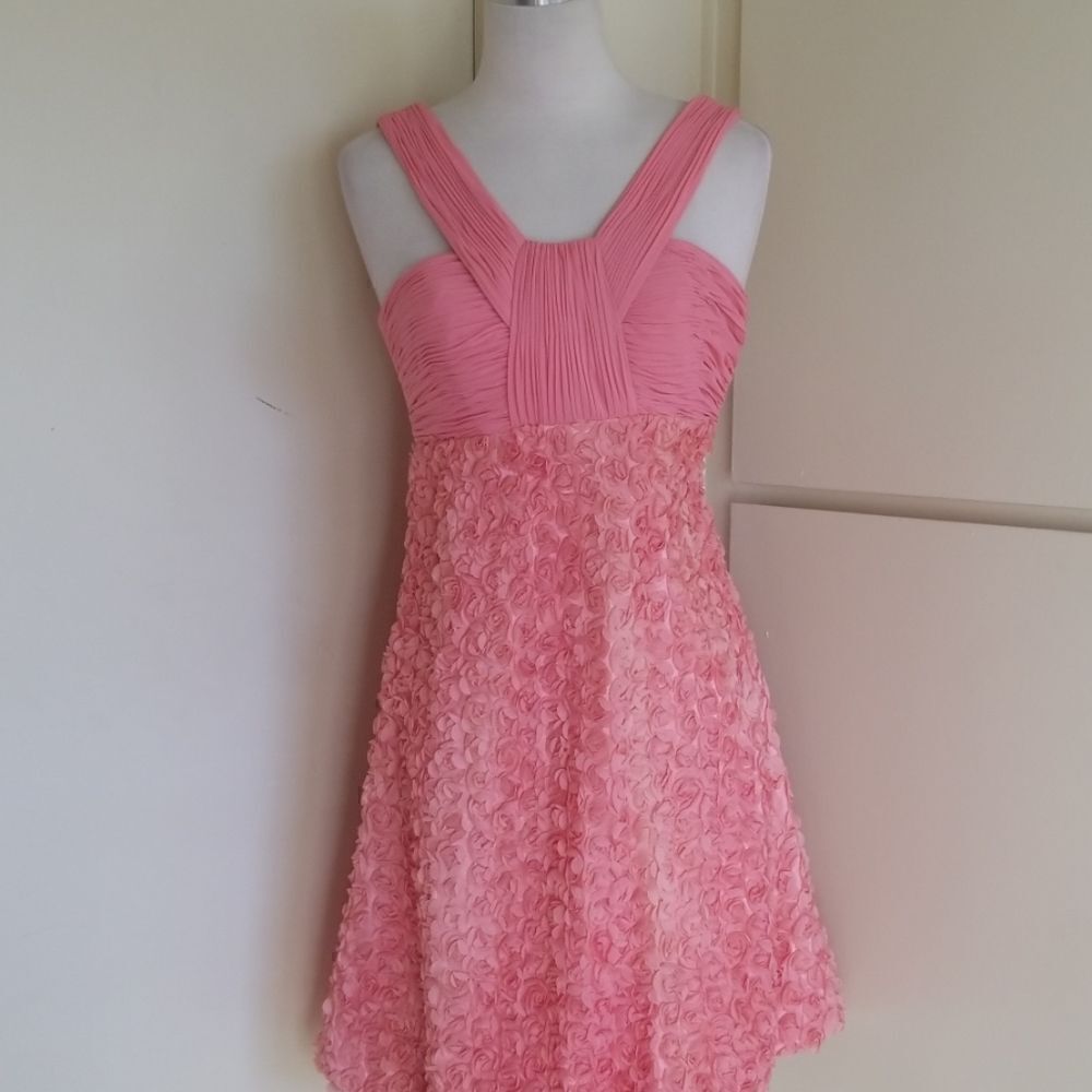 Sue Wong Nocturne Pink Cocktail Dress, sz 2, EUC